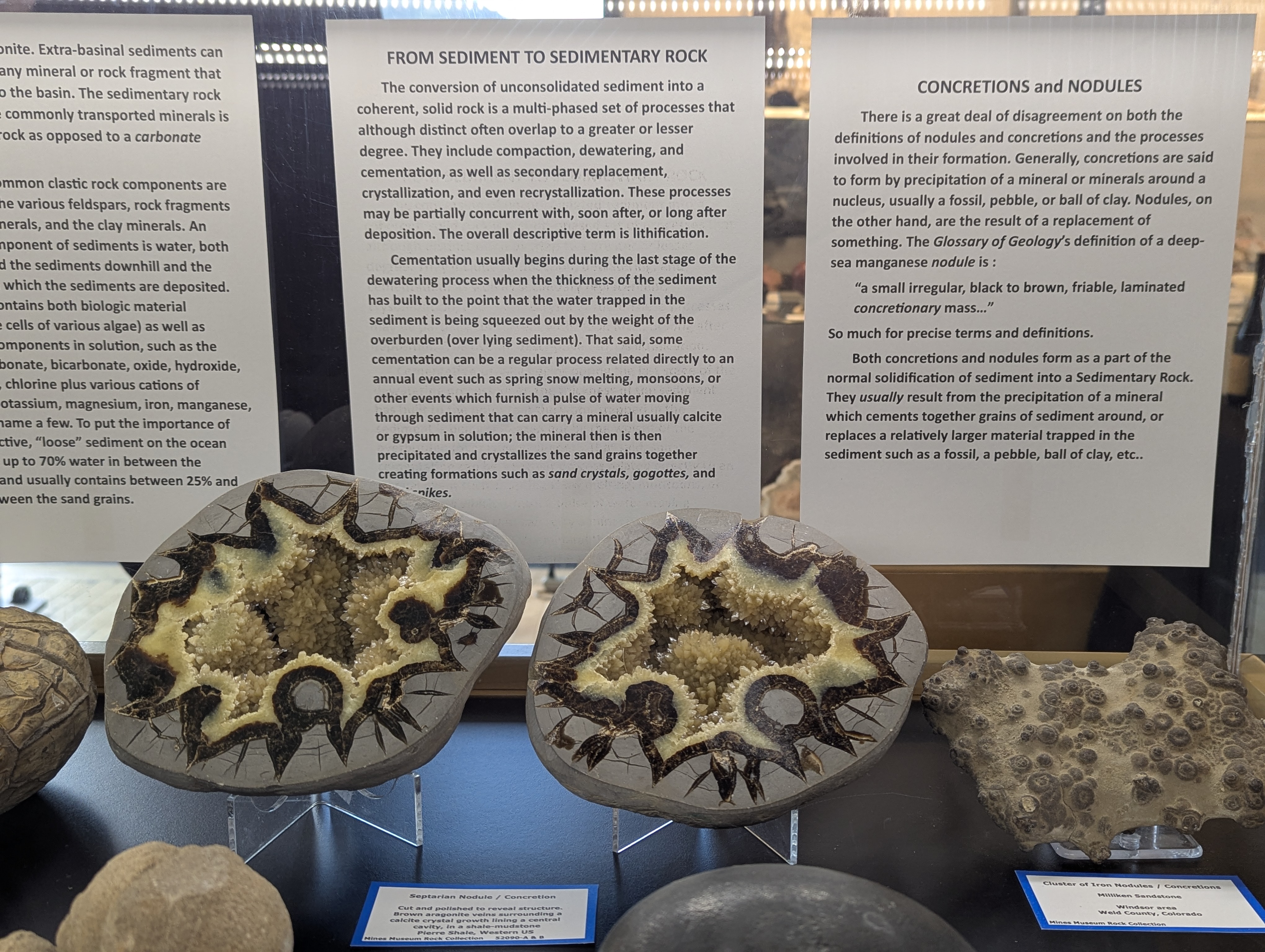 Colorado School of Mines, Geology Museum